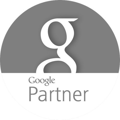 Google Partner Gris