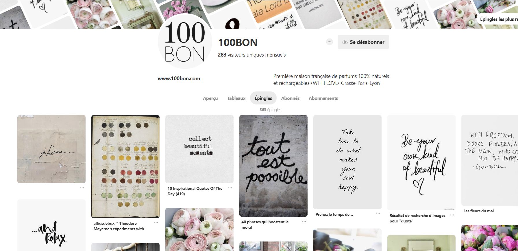 social-commerce-pinterest-100BON