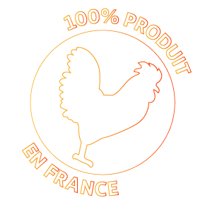 Made in France