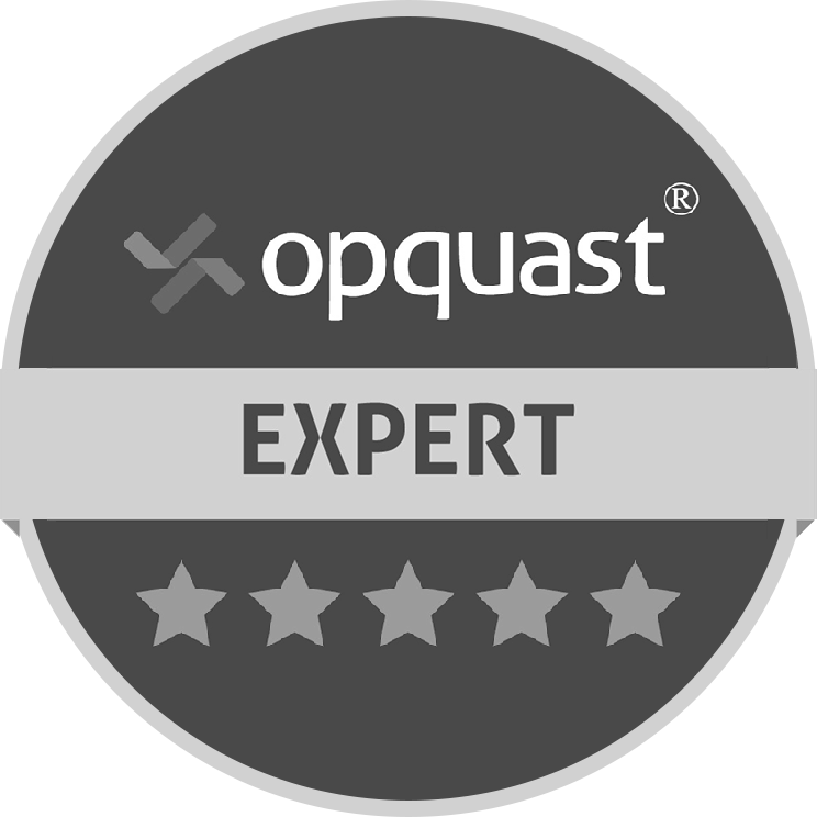 Opquast Expert Gris
