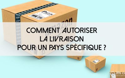 Comment autoriser la livraison pour un pays spécifique ?