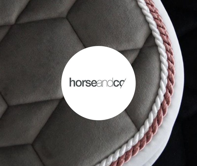 Horse and Co, une sellerie en ligne PrestaShop pour chevaux et cavaliers