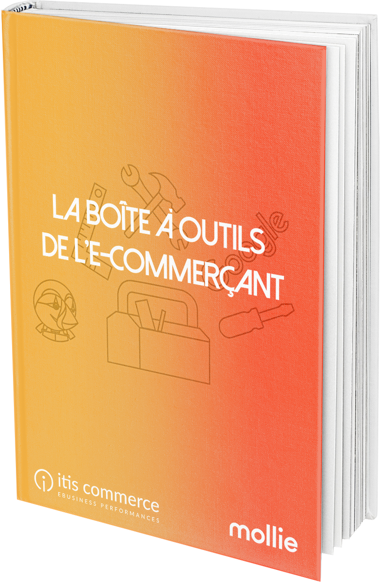 Mock-up-livre-blanc-sans-ombre