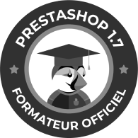 Prestashop Platinum Gris