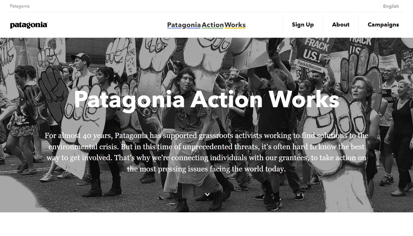 Patagonia action work