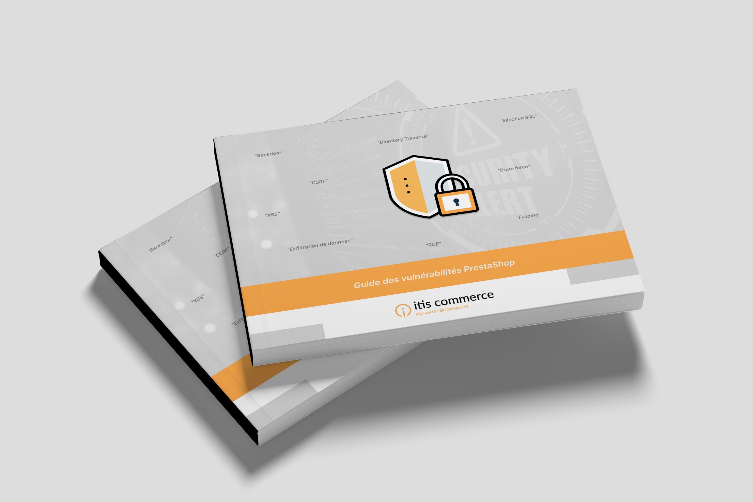 Webinaire
